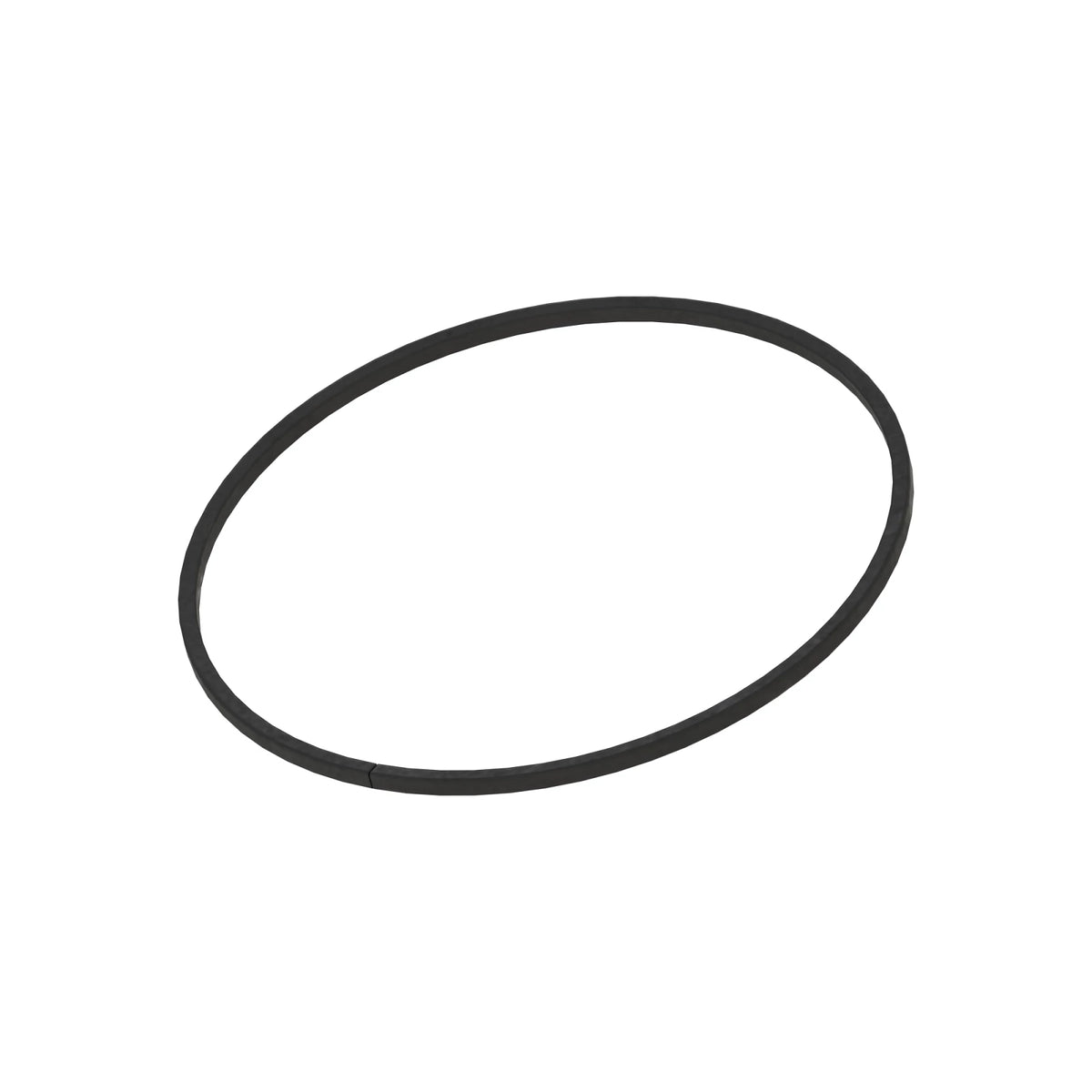 R77764: R77764: Sealing Ring