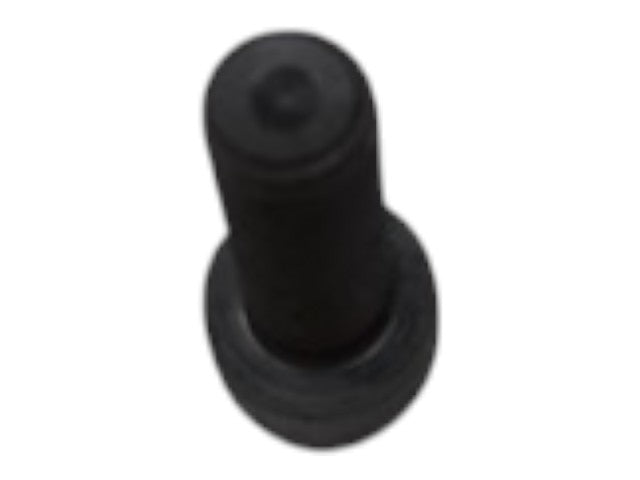 T169046 — CAP SCREW — image 4