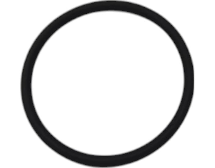 T196850: T196850 — O-RING