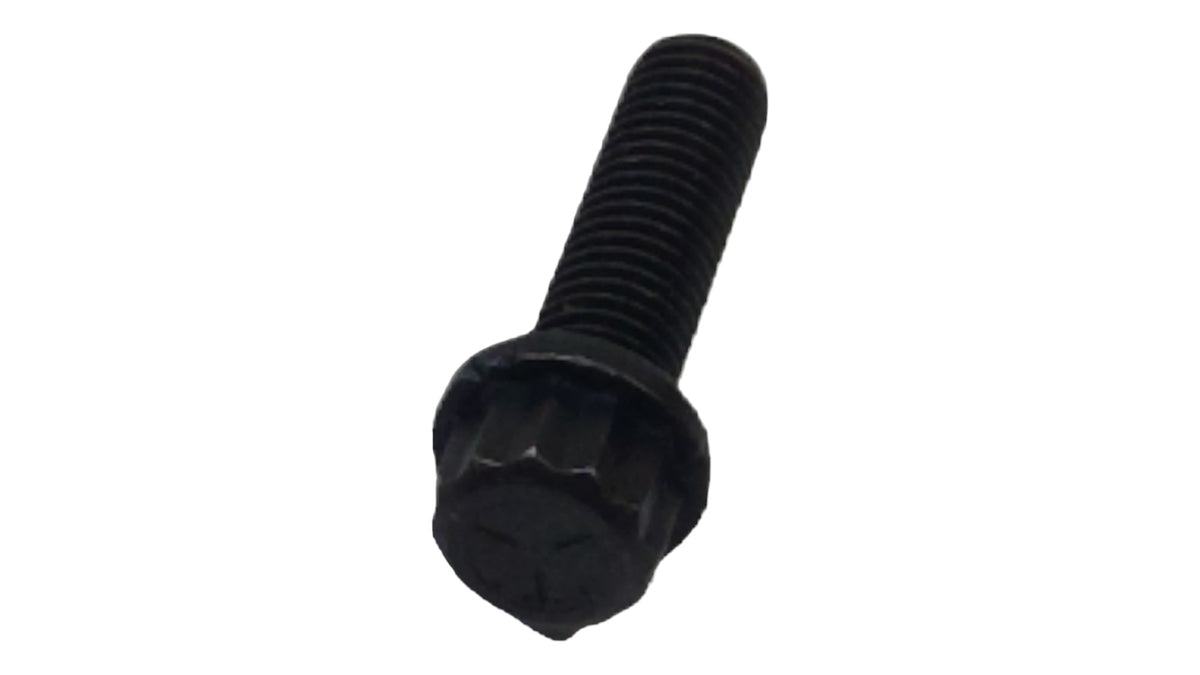 T31036 — SCREW — image 3