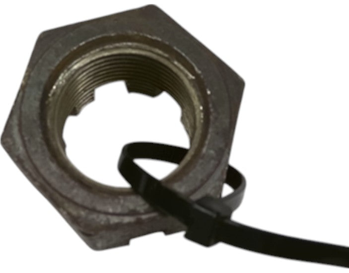 WP401820 — NUT — image 5