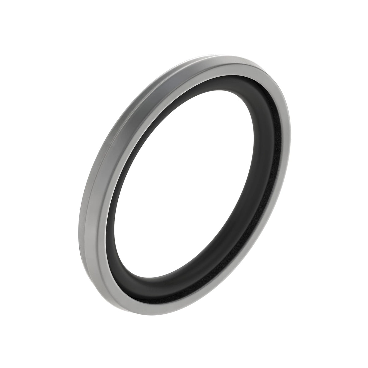 Z70694: Z70694: Piston Seal