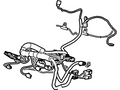 Ford New 2005-2006 Fits Ford Expedition Wire Assy Base No. 14a699 Position Driver Side, Part # 5L1Z14A699AA