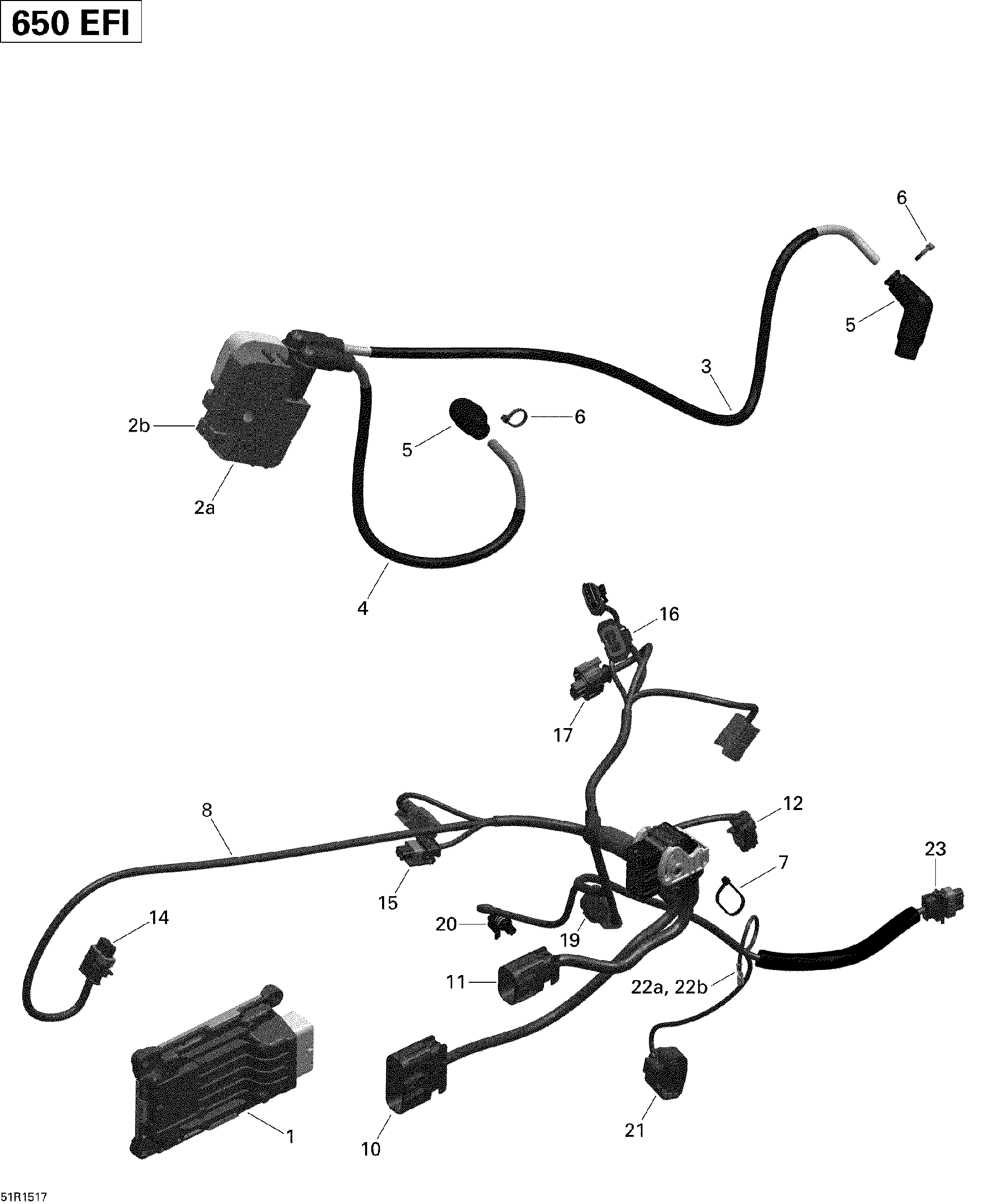 Fits 2015 Can-Am Outlander 6X6 650 EFI Ecm, Engine Control Module, OEM Part # 420264616 - schematic diagram