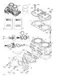 Fits BRP Valve Exhaust, OEM Part # 420854410