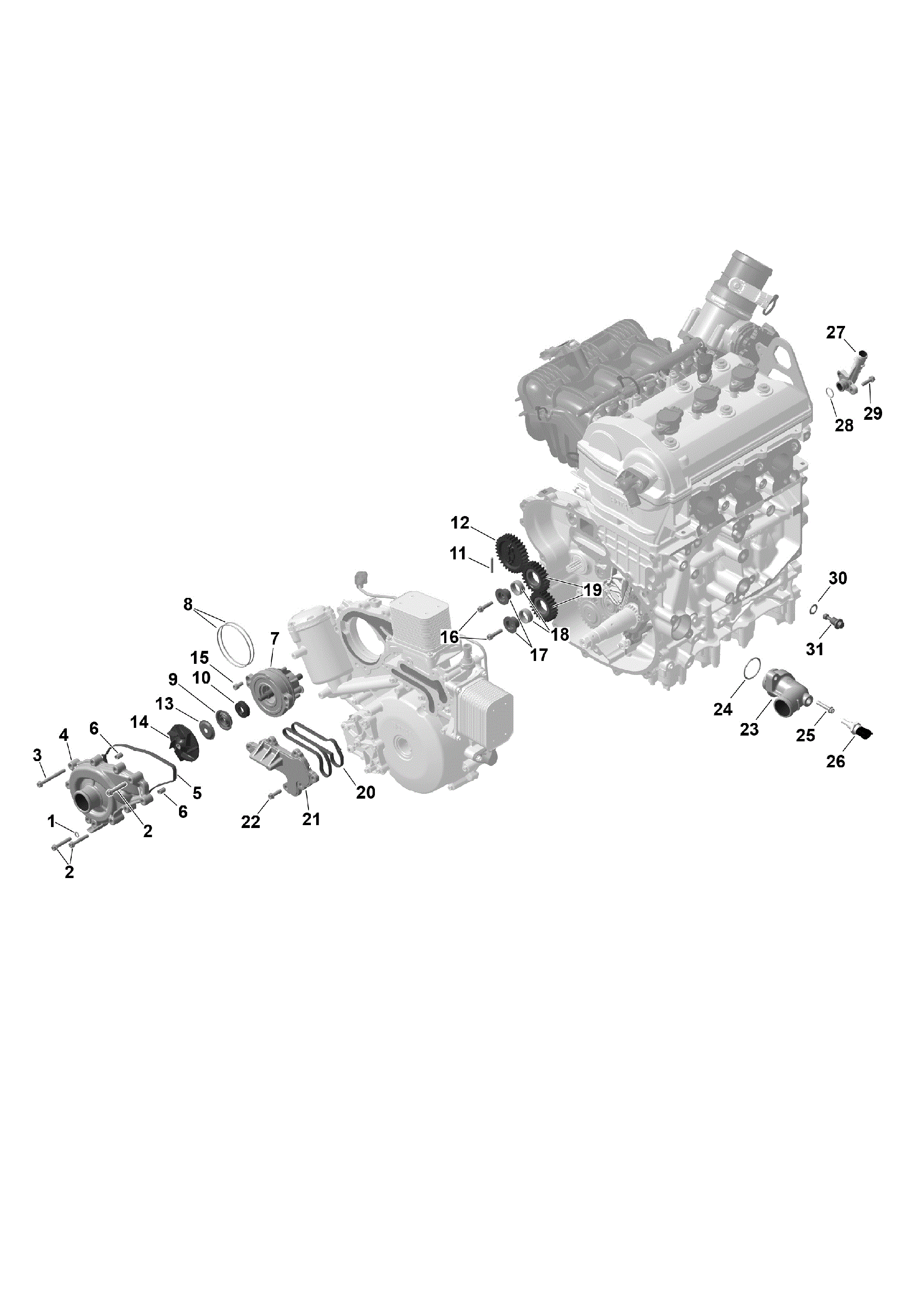 Fits BRP O-ring, OEM Part # 420931380