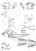 Fits 2010 Ski-Doo GSX LE 600HO ETEC RH Front SIDE Decal, OEM Part # 516004137 - schematic diagram