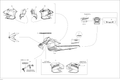 Fits 2012 Ski-Doo GSX LE 600HOETEC XP RH SIDE Decal, OEM Part # 516004965 - schematic diagram