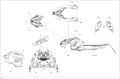 Fits 2014 Ski-Doo MXZ X 600RS XS RS RH SIDE Decal, OEM Part # 516006145 - schematic diagram