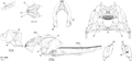 Fits 2015 Ski-Doo MXZ X-RS 600HOE XS RS RH Tunnel Decal, REV XS, OEM Part # 516006817 - schematic diagram
