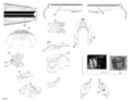 Fits 2015 Ski-Doo MXZ IRON DOG 600HO E-TEC / MXZ IRON DOG 800R E-TEC Decal, OEM Part # 516007168 - schematic diagram