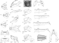 Fits 2016 Ski-Doo MXZ 600HO E-TEC / MXZ 800R E-TEC Decal, OEM Part # 516007175 - schematic diagram