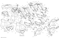 Fits 2011-2013 Ski-Doo EXPEDITION SPORT 550F XP Gauge Support, OEM Part # 517304576 - schematic diagram