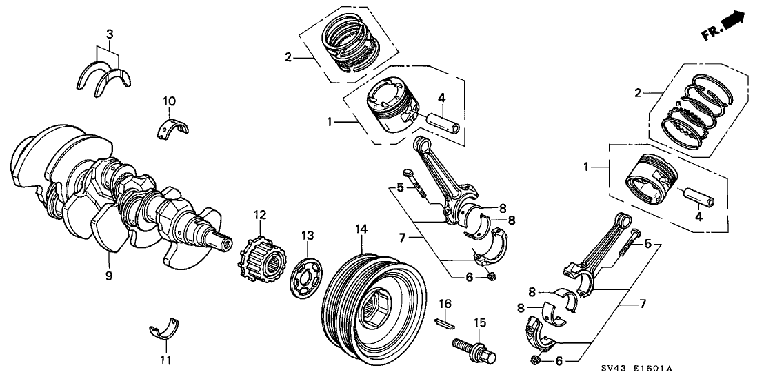 Honda New 1995-1997 Fits Honda Accord Bearing D, Main (Lower) (Yellow) (Daido), Part # 13344-PL2-J01