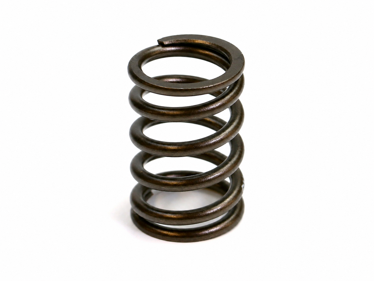 Ferrari Outer Valve Spring — OEM 180192