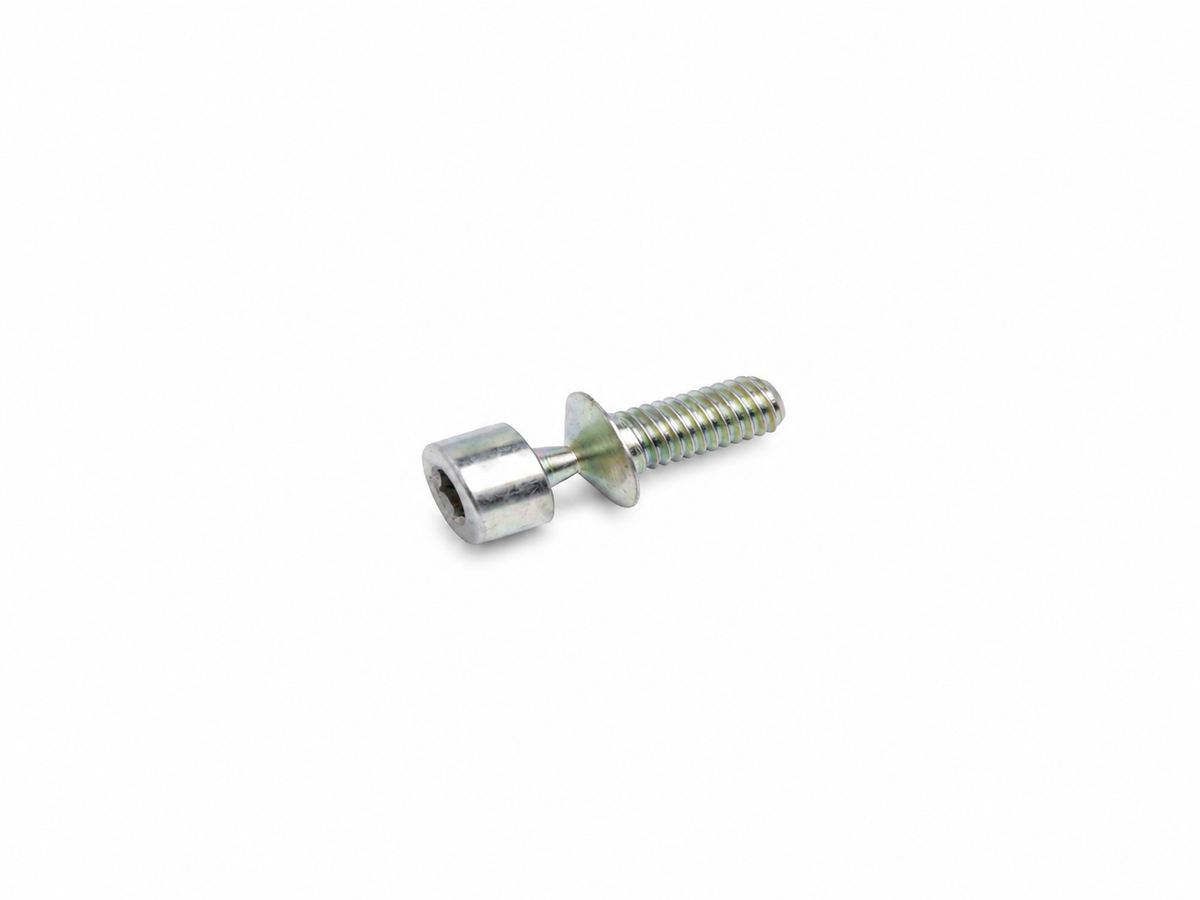 Ferrari Screw — OEM 187005