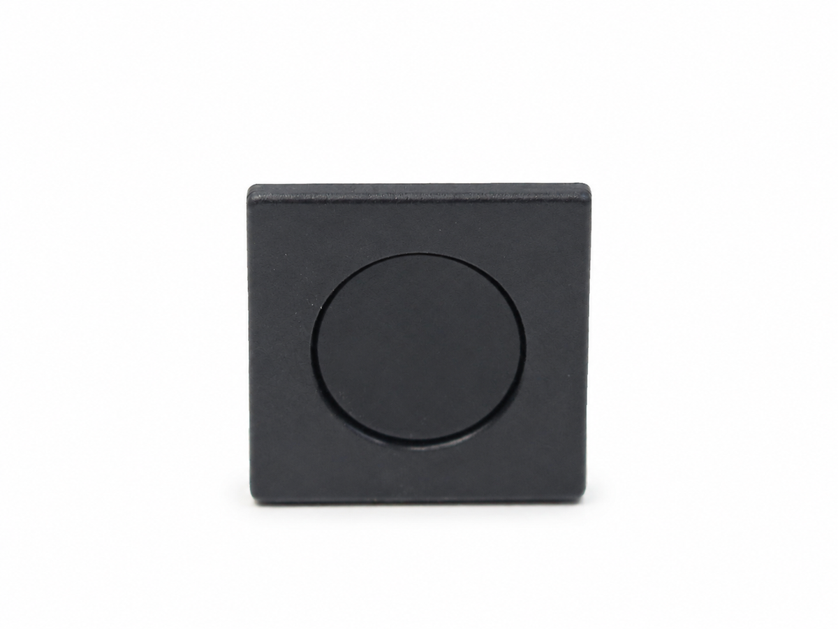 Ferrari Dummy Switch — OEM 120644