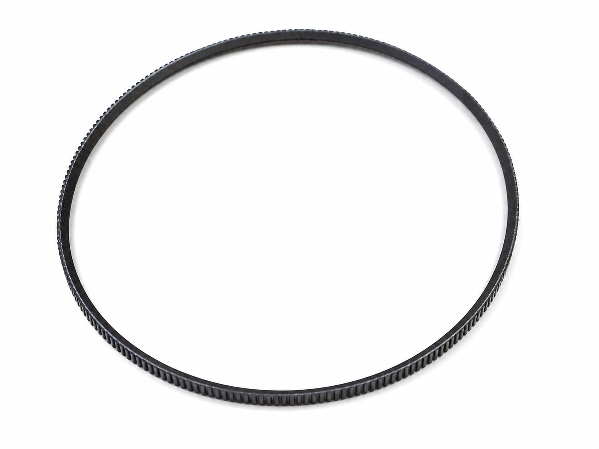 Ferrari Alternator Belt — OEM 122004