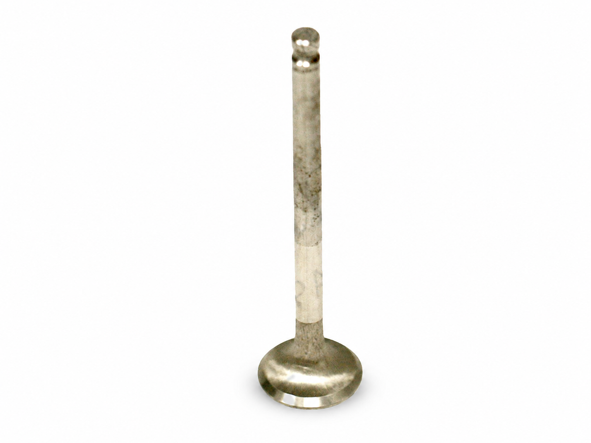 117364 - Exhaust Valve