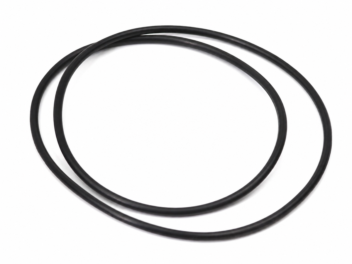 Ferrari O-Ring (Diff Carrier) (Kit Component) — OEM 122153