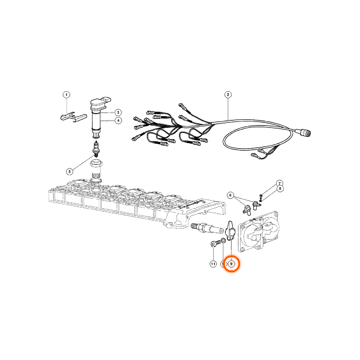 Iron Vault highlighted EPC square-v1 16.01.00 callout 009 — SKU 0016003891