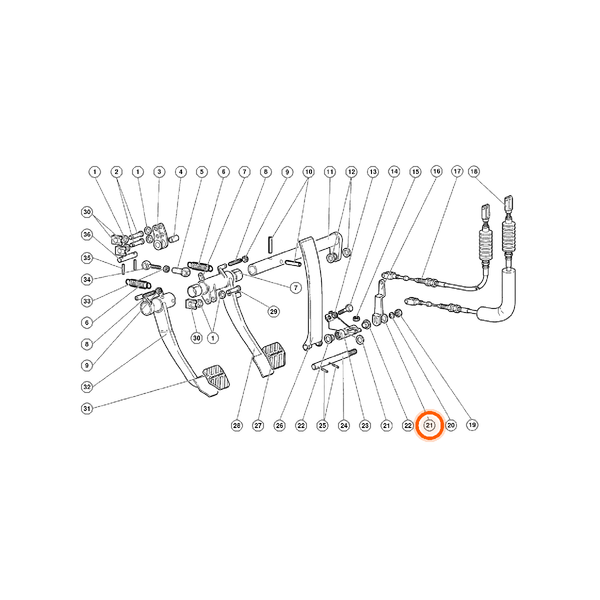 Iron Vault highlighted EPC square-v1 42.01.00 callout 021 — SKU WHT000697