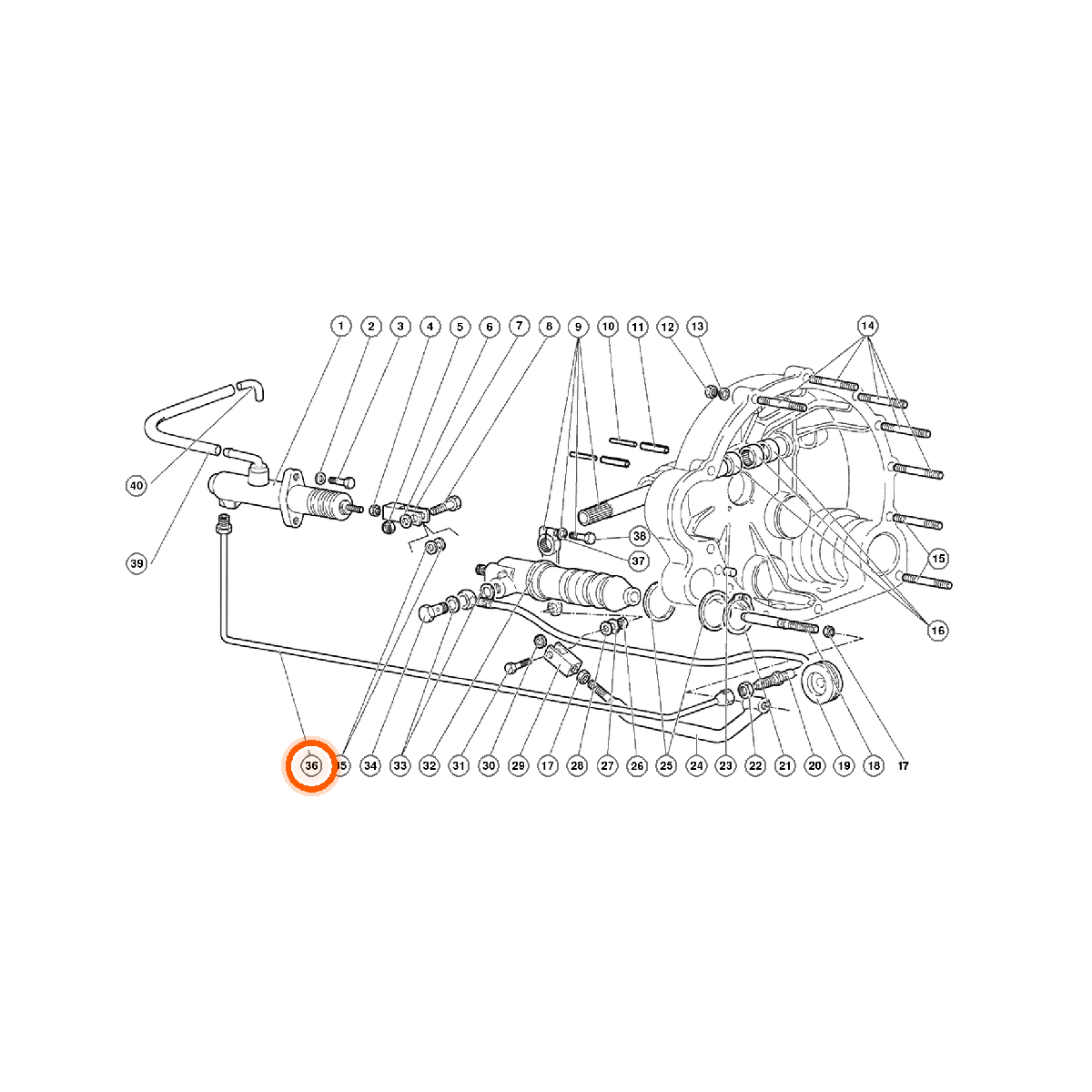 Iron Vault highlighted EPC square-v1 21.02.00 callout 036 — SKU 002137532