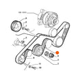 Fits Alfa Romeo GTV/SPIDER Drive Belt, OEM Part # 60812001