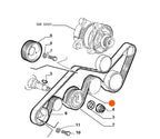 Fits Alfa Romeo GTV/SPIDER Drive Belt, OEM Part # 60812001