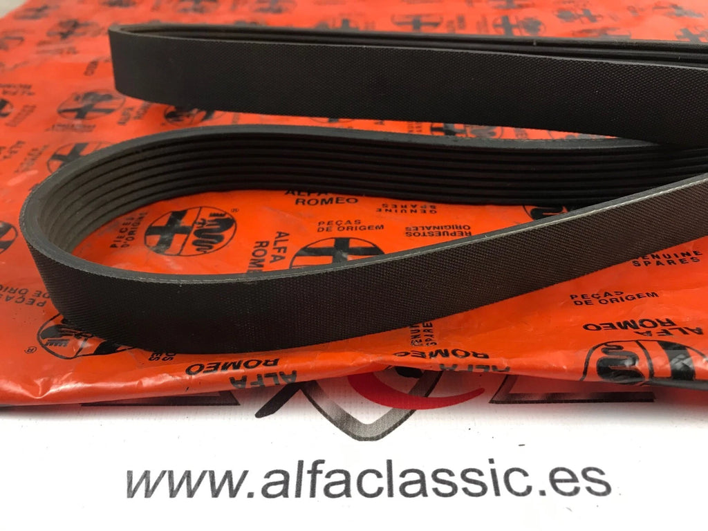 Fits Alfa Romeo GTV/SPIDER Drive Belt, OEM Part # 60812001