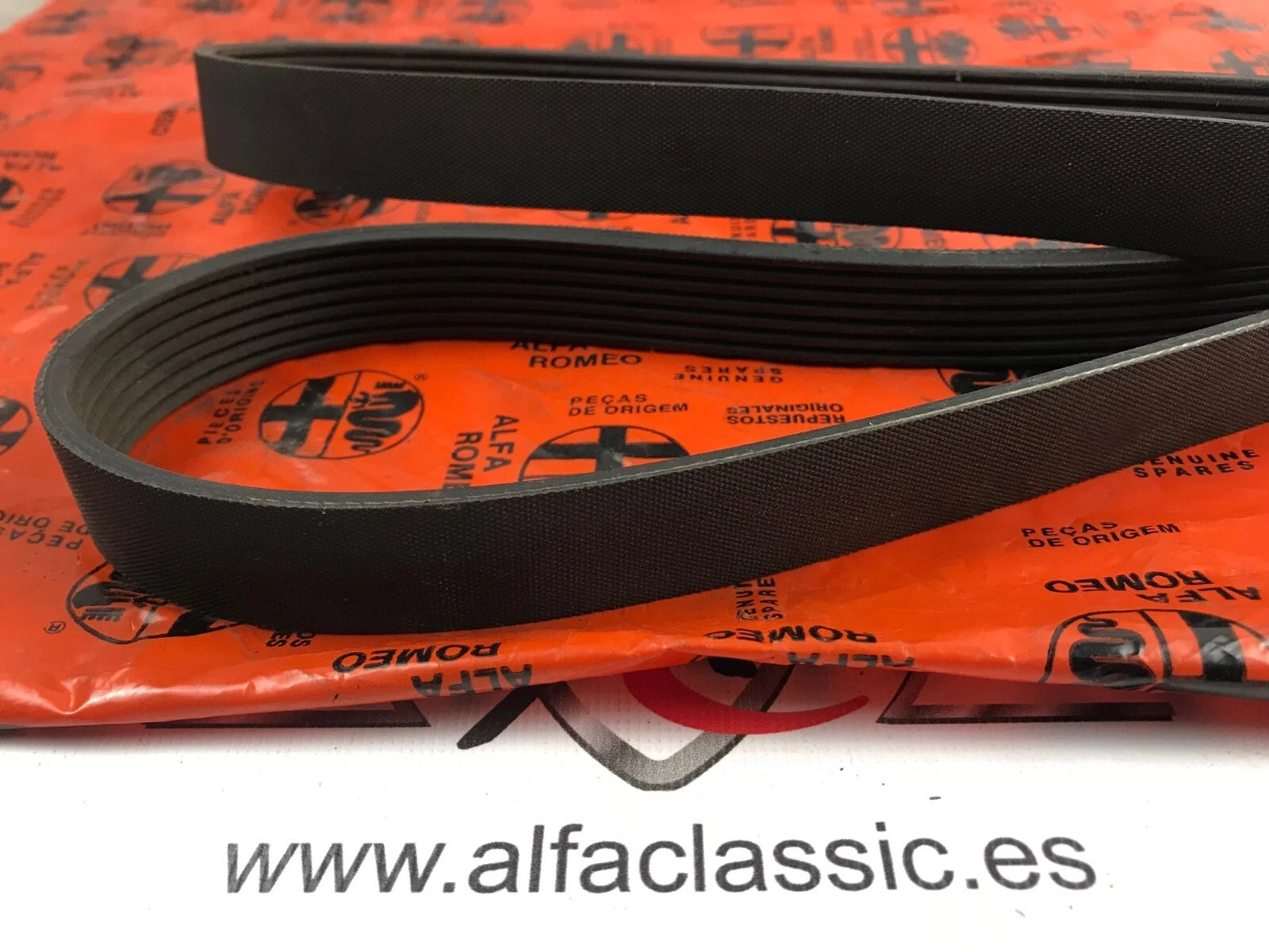 Fits Alfa Romeo GTV/SPIDER Drive Belt, OEM Part # 60812001