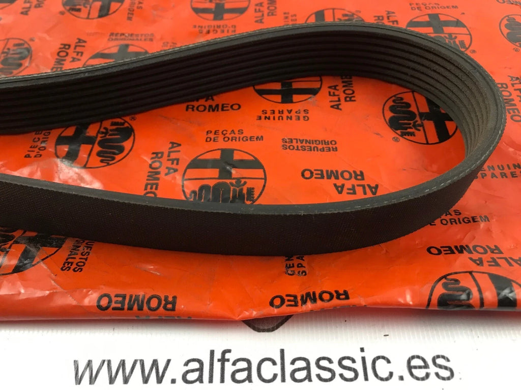Fits Alfa Romeo GTV/SPIDER Drive Belt, OEM Part # 60812001